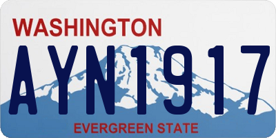 WA license plate AYN1917