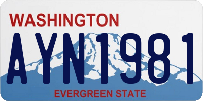 WA license plate AYN1981