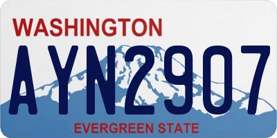 WA license plate AYN2907