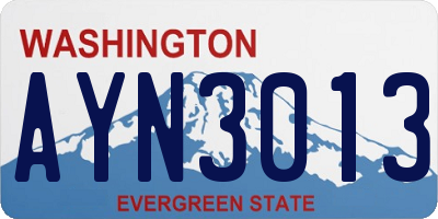 WA license plate AYN3013