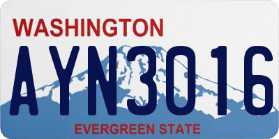 WA license plate AYN3016