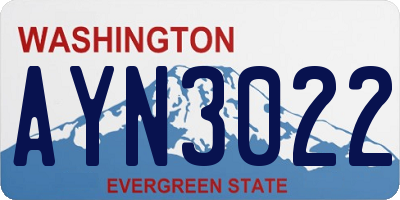 WA license plate AYN3022