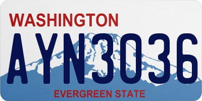 WA license plate AYN3036