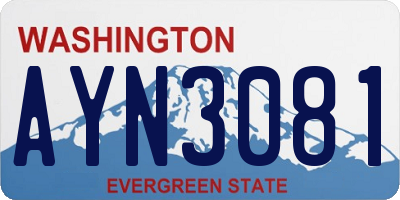WA license plate AYN3081