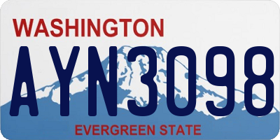 WA license plate AYN3098