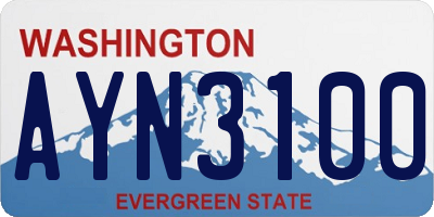 WA license plate AYN3100