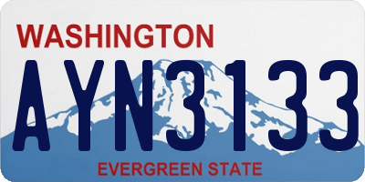 WA license plate AYN3133