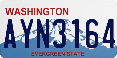 WA license plate AYN3164