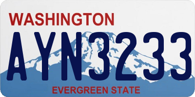 WA license plate AYN3233