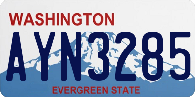 WA license plate AYN3285