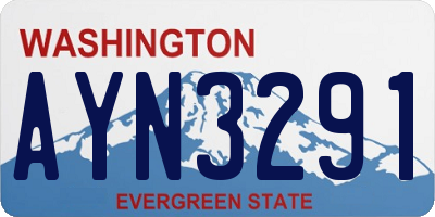 WA license plate AYN3291