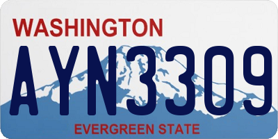 WA license plate AYN3309