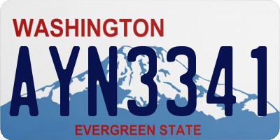 WA license plate AYN3341