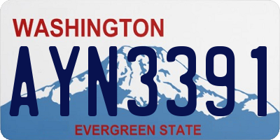 WA license plate AYN3391