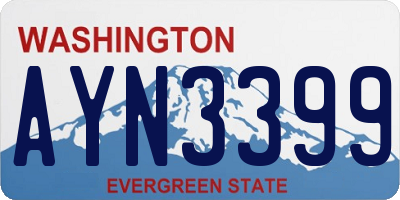 WA license plate AYN3399