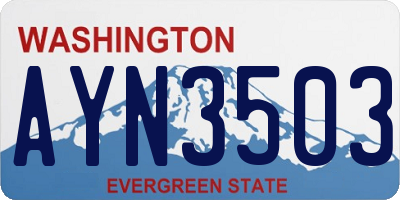 WA license plate AYN3503