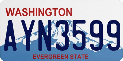 WA license plate AYN3599