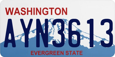 WA license plate AYN3613