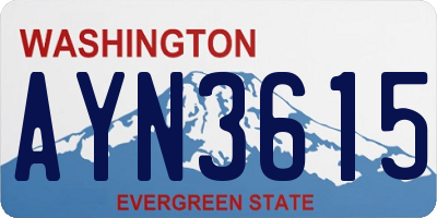 WA license plate AYN3615