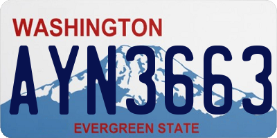 WA license plate AYN3663