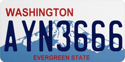 WA license plate AYN3666