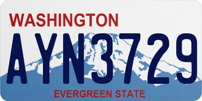 WA license plate AYN3729