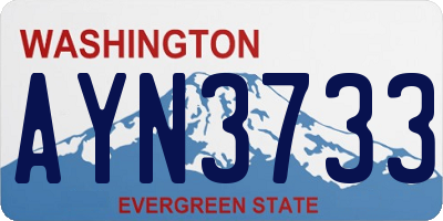 WA license plate AYN3733