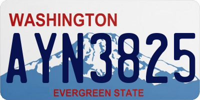 WA license plate AYN3825
