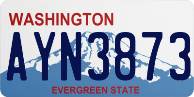 WA license plate AYN3873