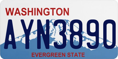 WA license plate AYN3890