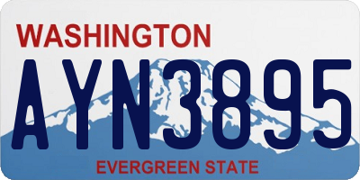 WA license plate AYN3895