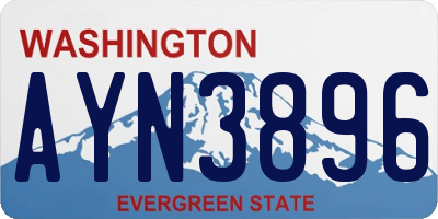 WA license plate AYN3896