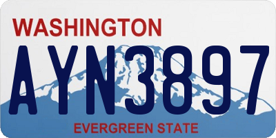WA license plate AYN3897
