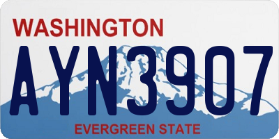 WA license plate AYN3907