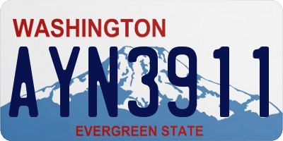 WA license plate AYN3911