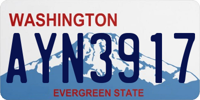 WA license plate AYN3917