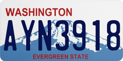 WA license plate AYN3918
