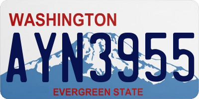 WA license plate AYN3955