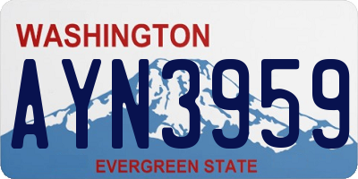 WA license plate AYN3959