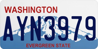 WA license plate AYN3979
