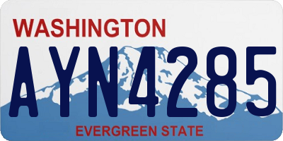 WA license plate AYN4285