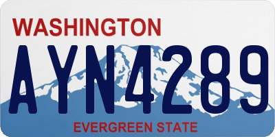 WA license plate AYN4289