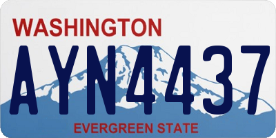 WA license plate AYN4437