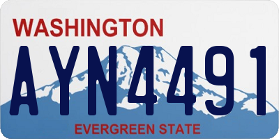 WA license plate AYN4491