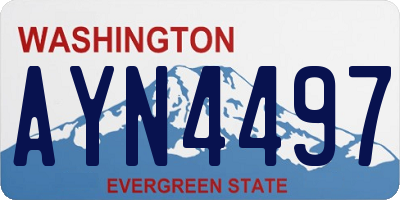 WA license plate AYN4497