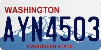 WA license plate AYN4503