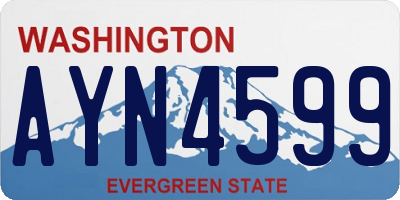 WA license plate AYN4599