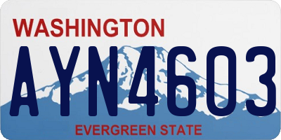 WA license plate AYN4603