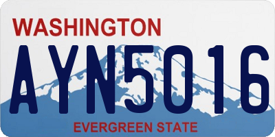WA license plate AYN5016