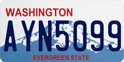 WA license plate AYN5099